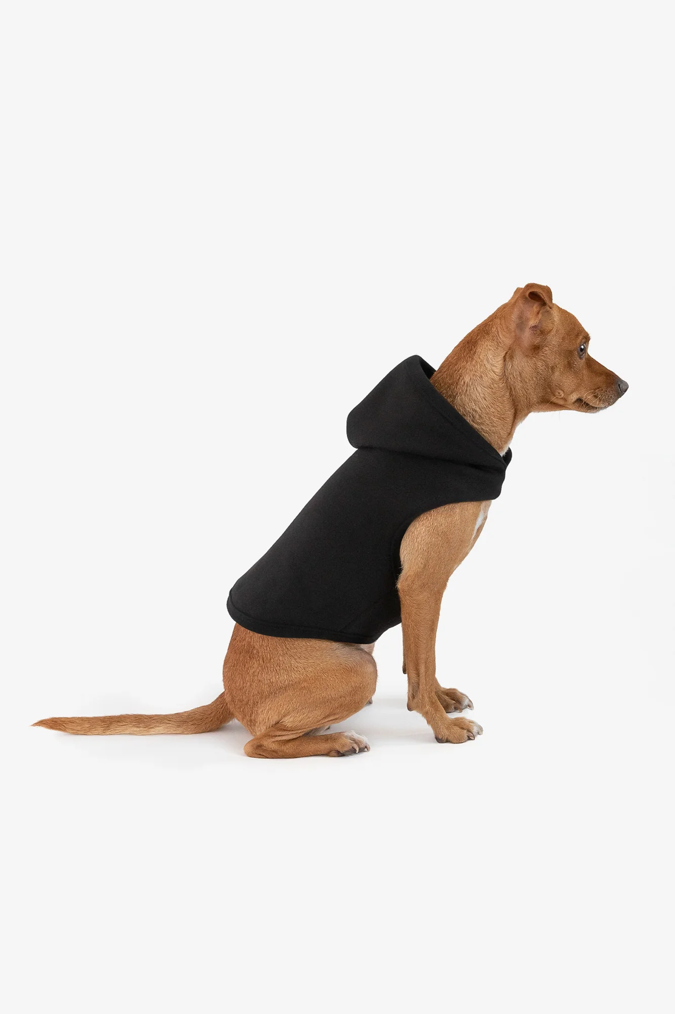 HF-DOGHOOD - Heavy Fleece Dog Sweater - Image 2