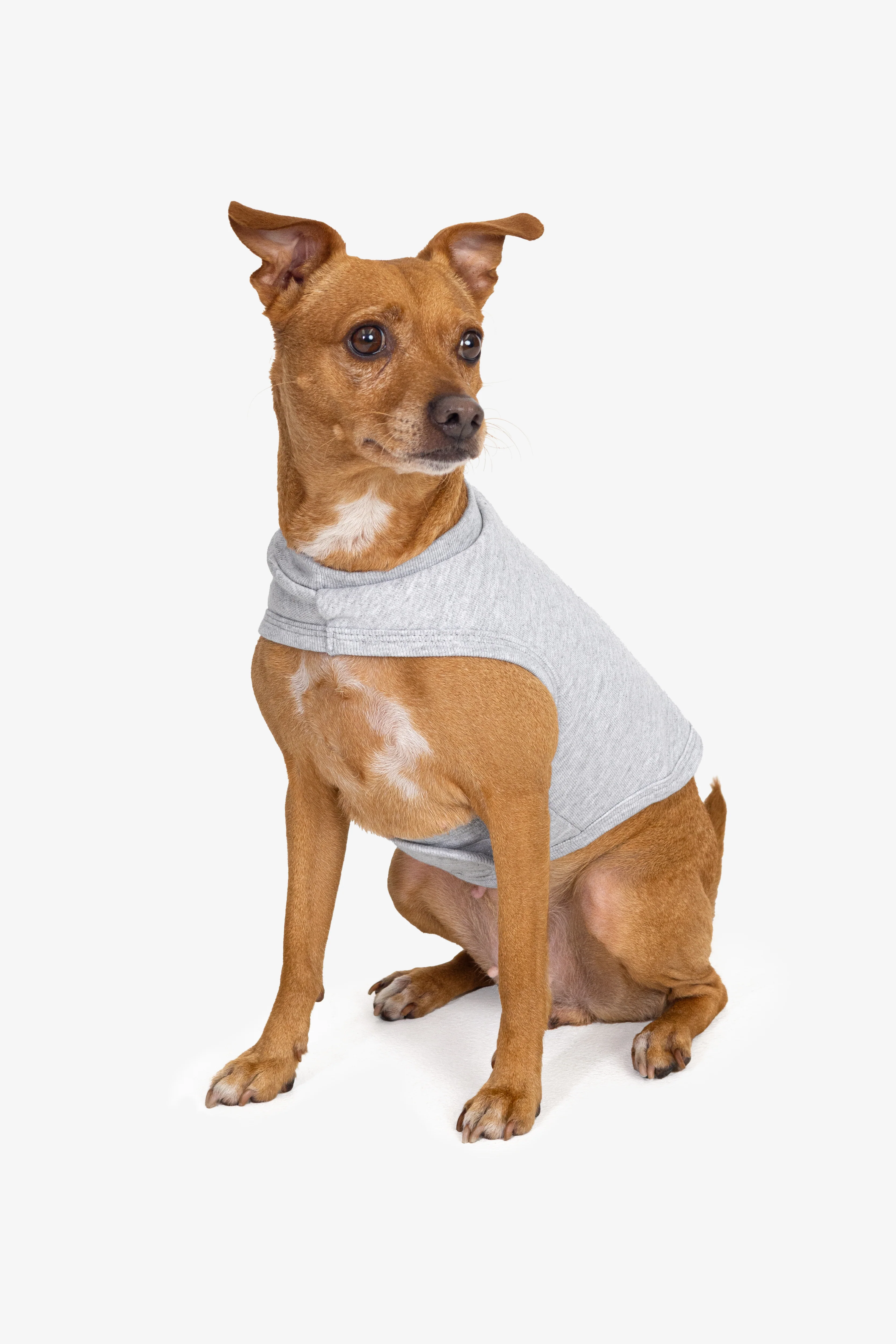 HFDOGVEST - Heavy Fleece Dog Vest - Image 2